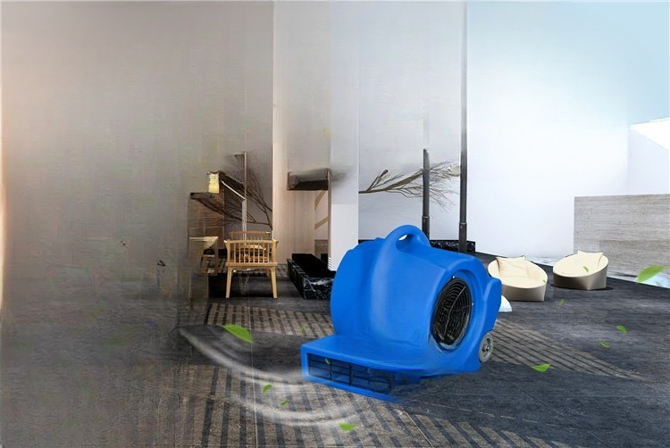 مجفف أرضيات متنقل للسجاد، مجفف - مراجعة Power Tools Mall وسعره